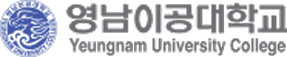 Yeungnam University College